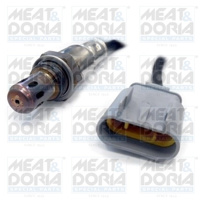 Oxygen Sensor